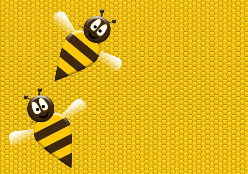 cropped-bee-aware-background.jpg